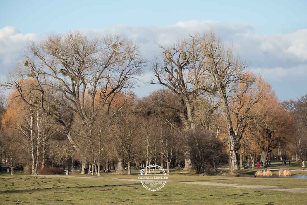 20180213-Muenchen-Englischer-Garten-©-Gerald-Langer_2