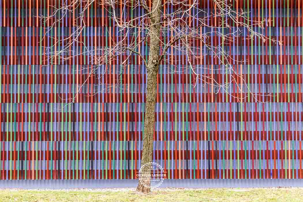 Museum Brandhorst_20180213-Muenchen-Sammlung-Brandhorst-©-Gerald-Langer_1