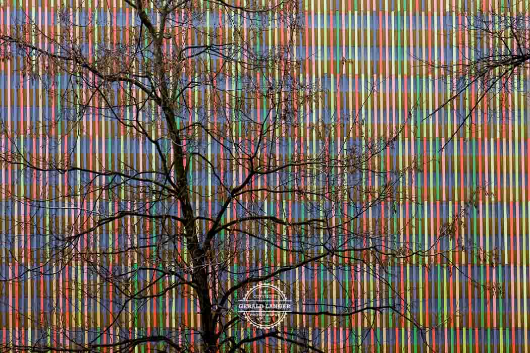 20180213-Muenchen-Sammlung-Brandhorst-©-Gerald-Langer_3